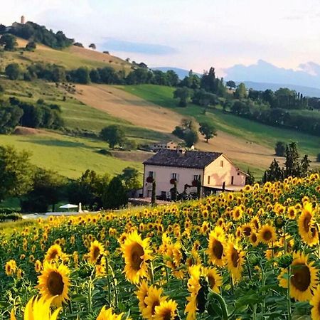 トレンティーノ Casale Delle Rondini Bed & Breakfast エクステリア 写真