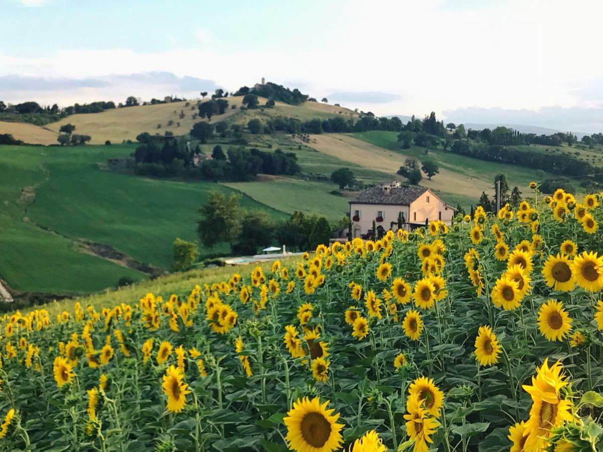 トレンティーノ Casale Delle Rondini Bed & Breakfast エクステリア 写真